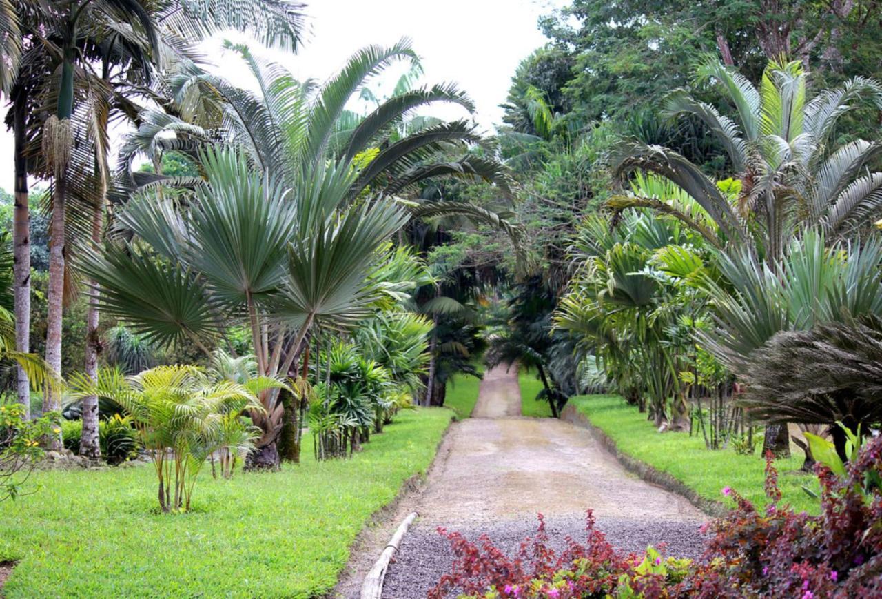 Bnb Tropical Island Aparthotel - Corales Del Sur - Santo Domingo Este Zewnętrze zdjęcie